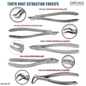 Dental Extracting Forceps Oral Surgery Instruments