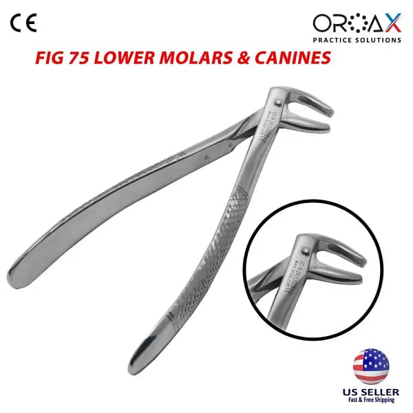 Tooth Forceps Fig #75 Lower Molars & Canines
