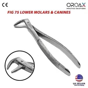 Tooth Forceps Fig #75 Lower Molars & Canines